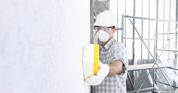 Why You Should Choose Our Mold Remediation Services in Glasgow Village, MO