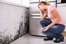 Best HVAC Mold Inspection and Cleaning  in Glasgow Village, MO